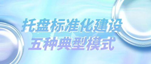 托盤標(biāo)準(zhǔn)化建設(shè)的五種典型模式及其租賃服務(wù)應(yīng)用