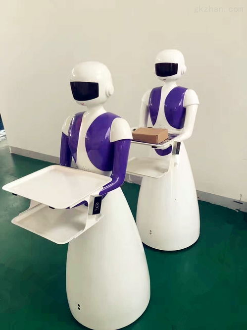 迎賓機(jī)器人租賃服務(wù) 智能助手，為活動(dòng)添彩增色